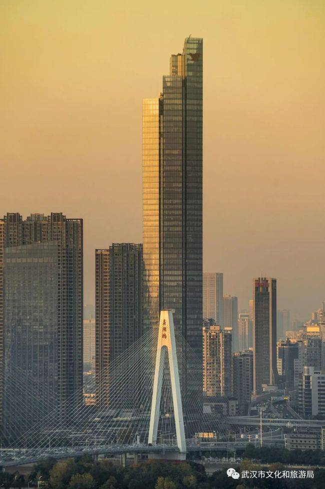长江_杨泗港_二桥