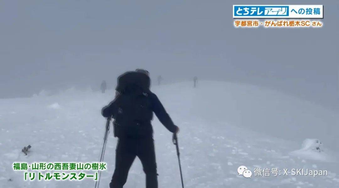 日本暴雪致滑雪圈事故多发!谈球吧体育 多名雪友丧命滑雪途中(图6)