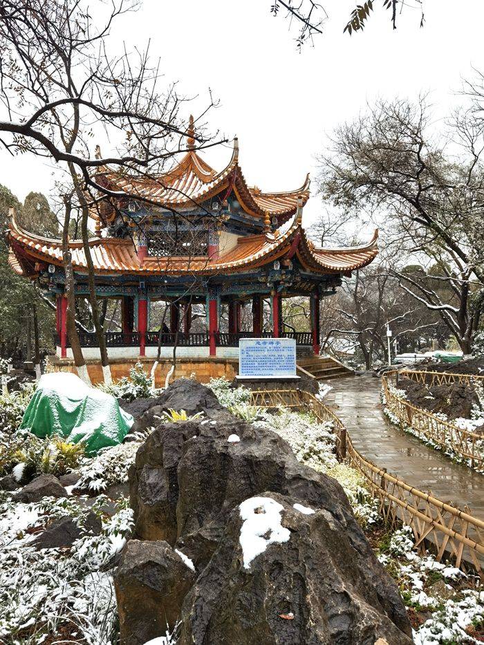 日子|昆明下雪了！春城的雪景真美丽！