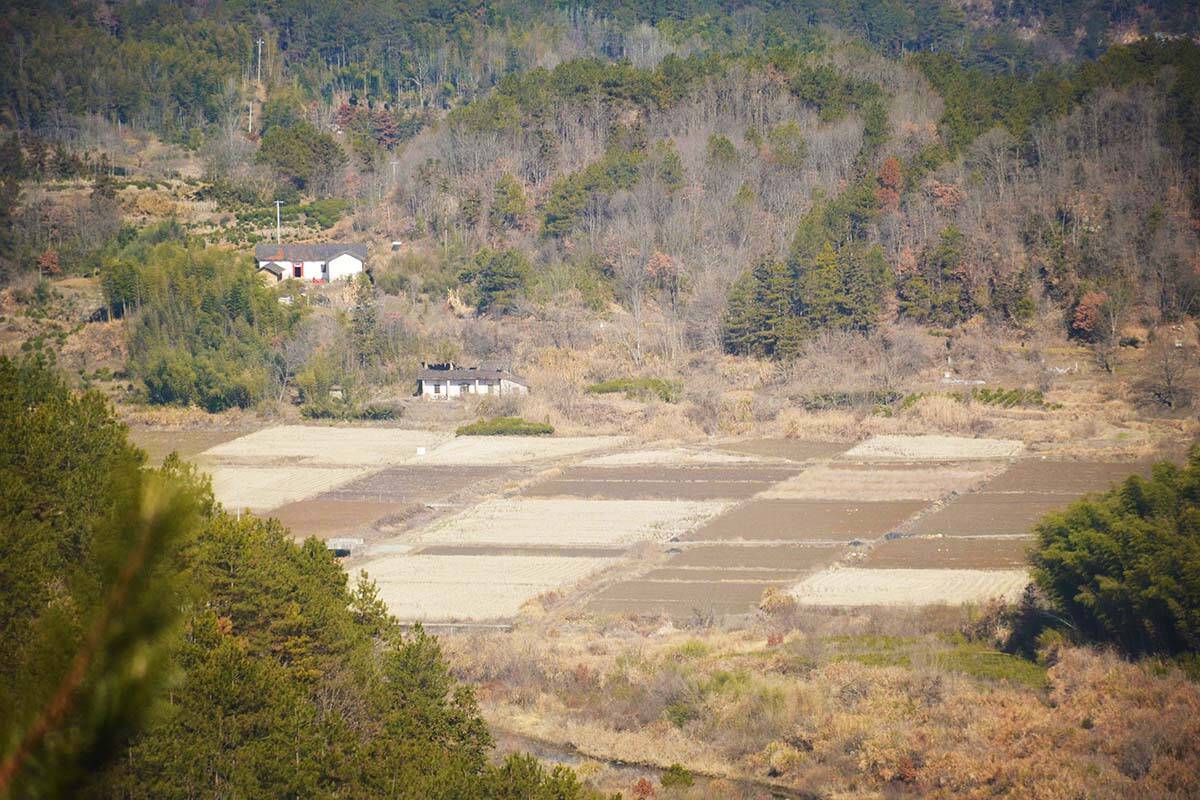 中建景点,房子越来越"旧",看为啥日子越过越红火_村民_发展_荒山野岭