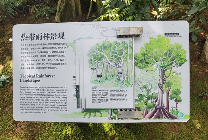 昆明植物园扶荔宫奇花异草的大观园
