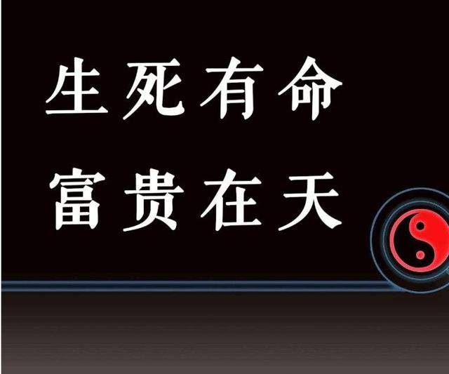 千古名句 生死有命 富贵在天 下句是什么 十人九不知 司马牛 孔子 生活