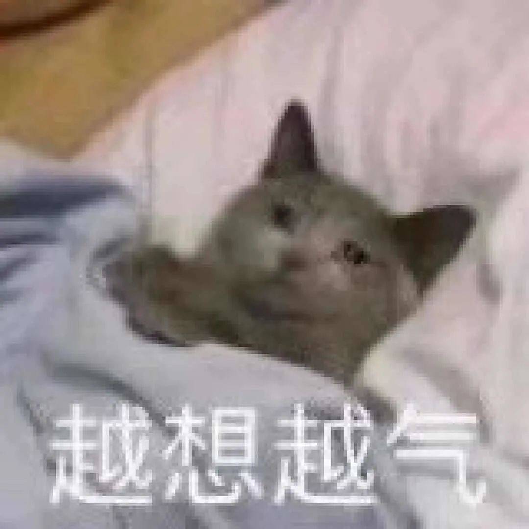 毛周她鼻背两旁的小疙瘩，到底是啥？