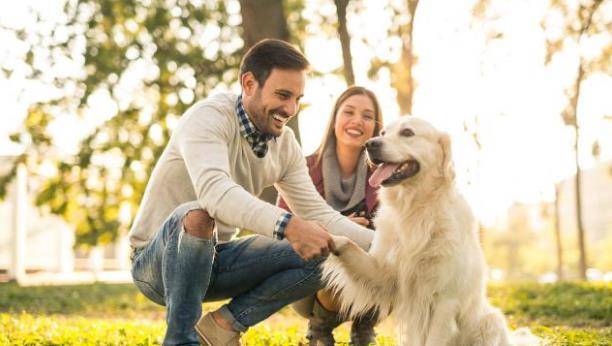 宠物|养狗人最容易患的“7种病”，劝你定期体检