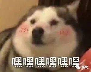 体重明明一张完美自信的脸，却因为容貌焦虑毁了