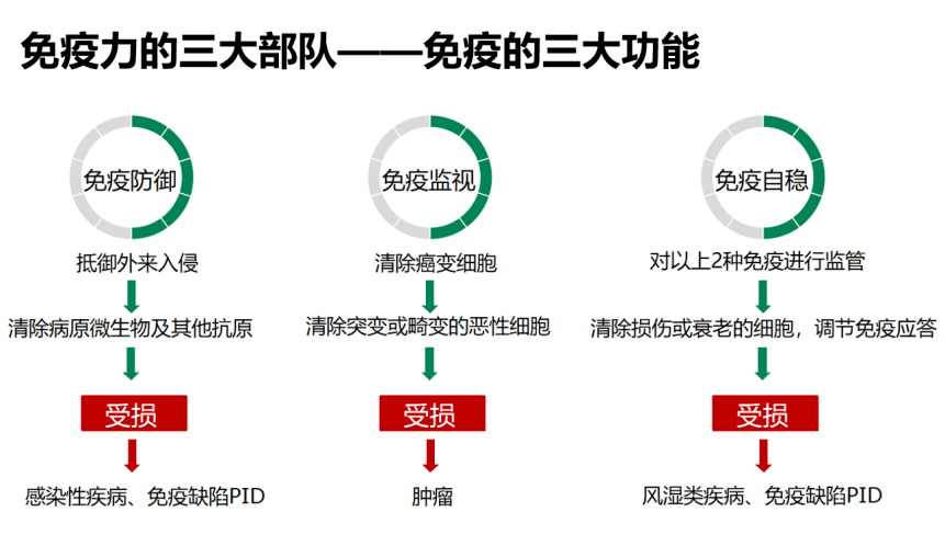 健康知识你的免疫力怎么样让淋巴细胞亚群告诉你