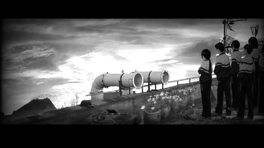 关系|专访《黑羊》：当一群好人“谋杀”了另一个好人