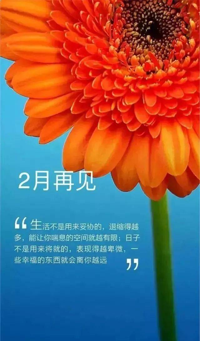 二月再见,三月你好!怀着梦想,不畏将来,继续前行