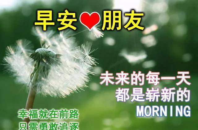 0dcdcd7c83c440acbfa371948d24abe1.jpeg