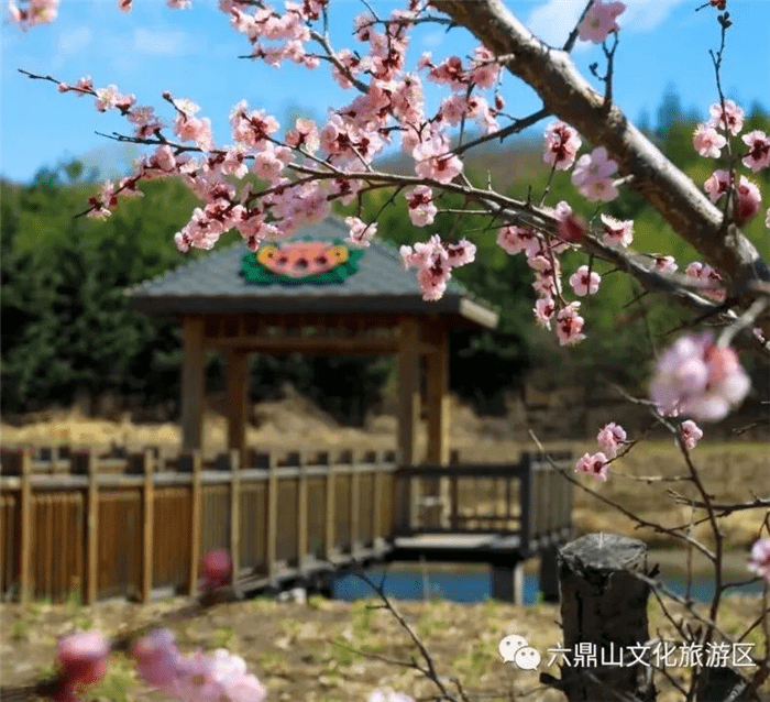 风景|?三八妇女节，六鼎山文化旅游区邀您免费游园