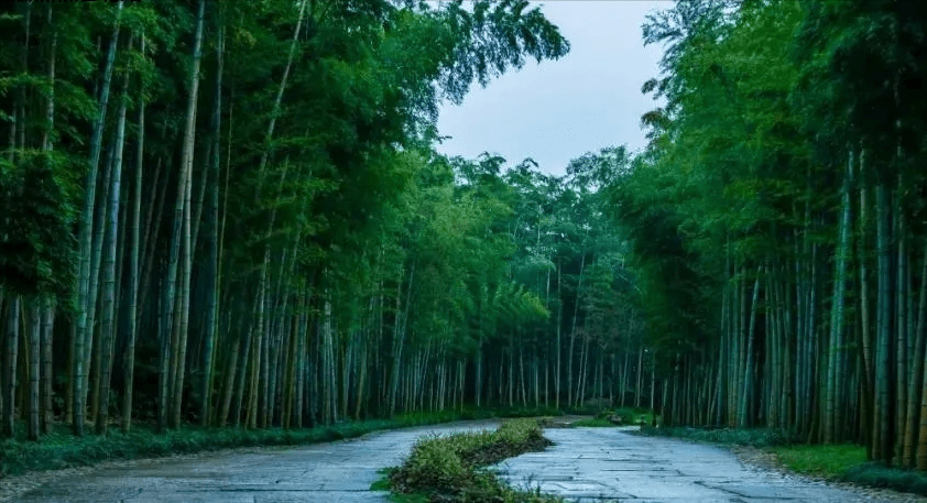 德清莫干溪谷图片