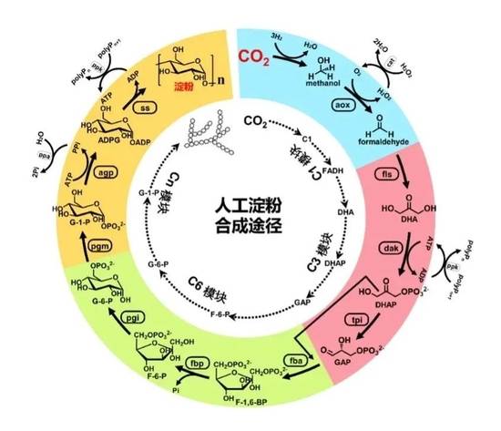 中国|2021年度中国科学十大进展公布