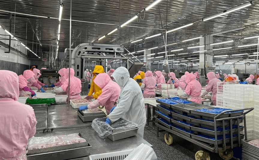 禾丰食品加工有限公司三家禾丰控参股企业的冷冻鸡肉产品也向香港供应