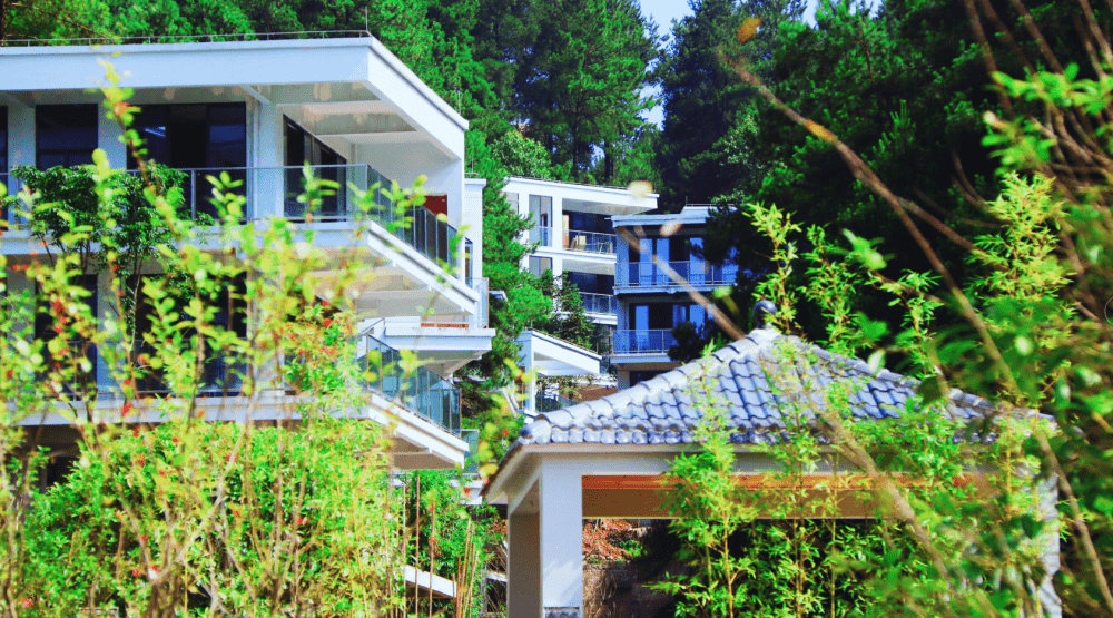 綦江横山避暑旅游帝岭云湖千亩原始森林与自然山水共生盛启重庆人居