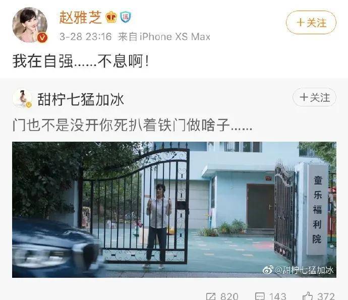 因为|周迅46岁当妈，“为母则强”的谎言终于被拆穿