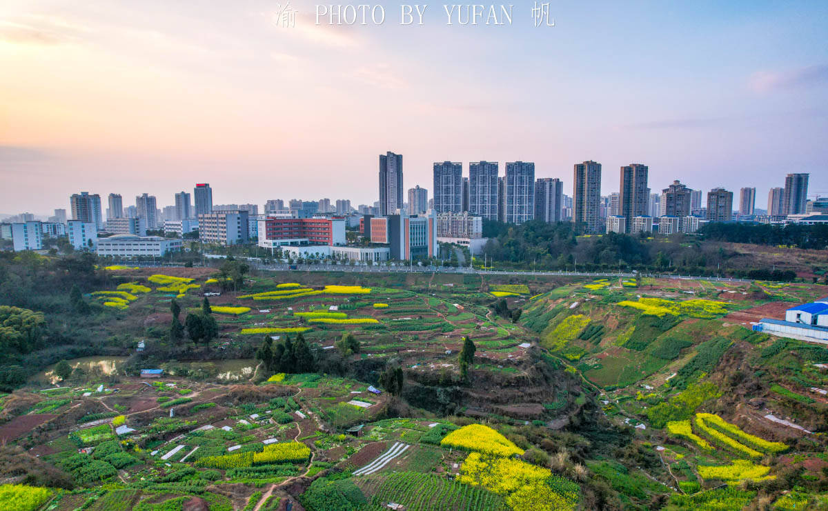 夕阳|重庆有座被菜花装扮的小城，不出城便能看到美景，窗外遍地流金