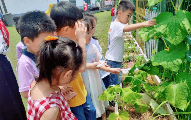 家长|幼儿园离园时间有新变化，教育部门发布通知，接娃难题将得到解决