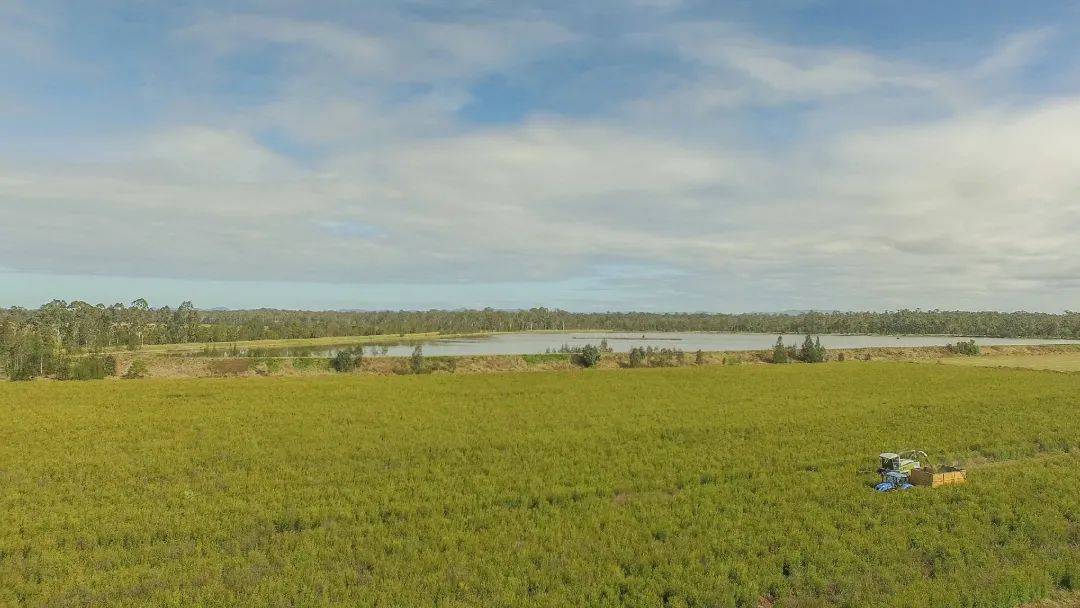 洗头花几千块做头皮清洁,到底是不是智商税?