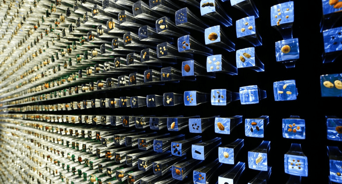 由于朗伊尔城的气候,该城有全球最全的种子库,被称为"世界末日种子库"