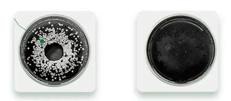 洗头花几千块做头皮清洁,到底是不是智商税?