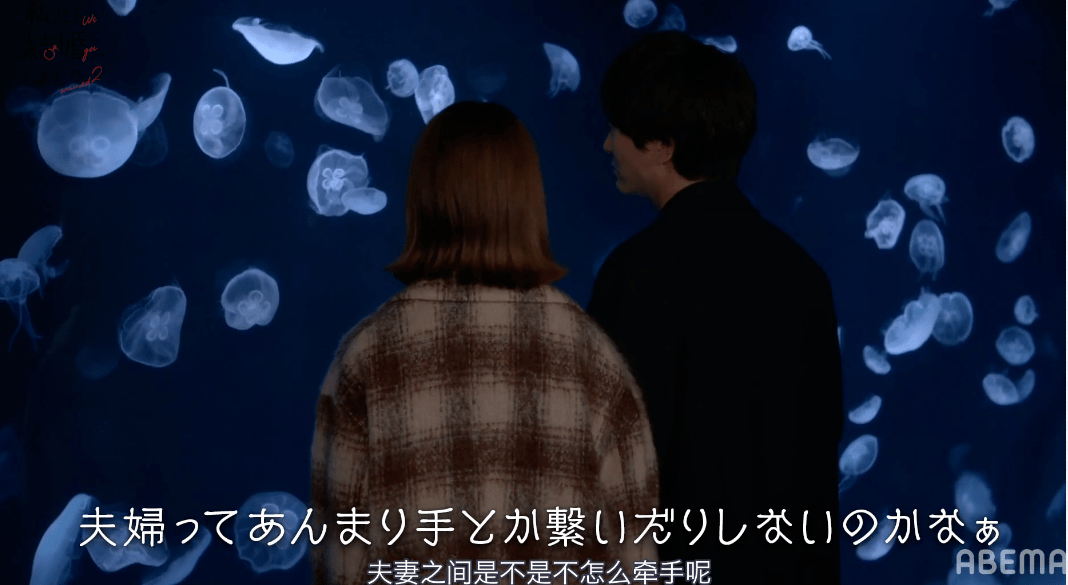 节目组|别拦我，我已经嗑疯了！