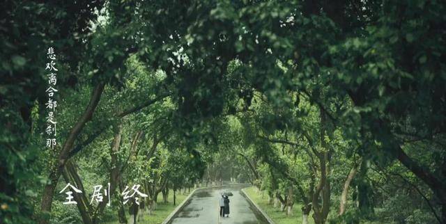 周秉义|当《人世间》“全剧终”字幕出现,我忍不住哽咽了