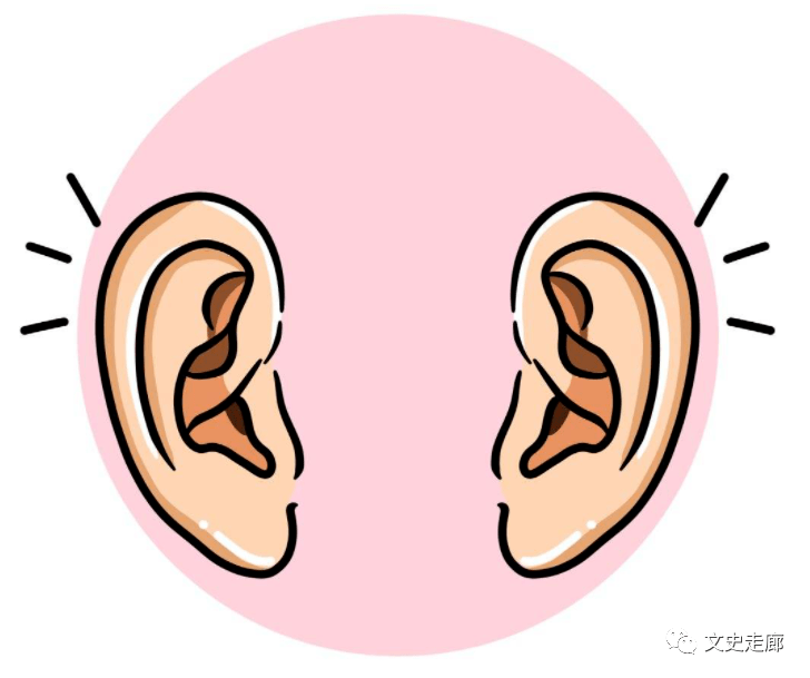 耳朵的作用图片卡通图片