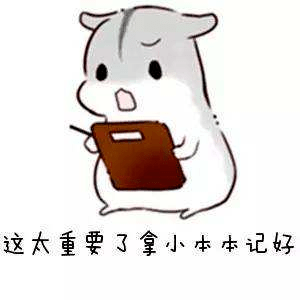 八卦爆料网红圈也出了个淡颜系美女！旧天台随便一拍她就火了？