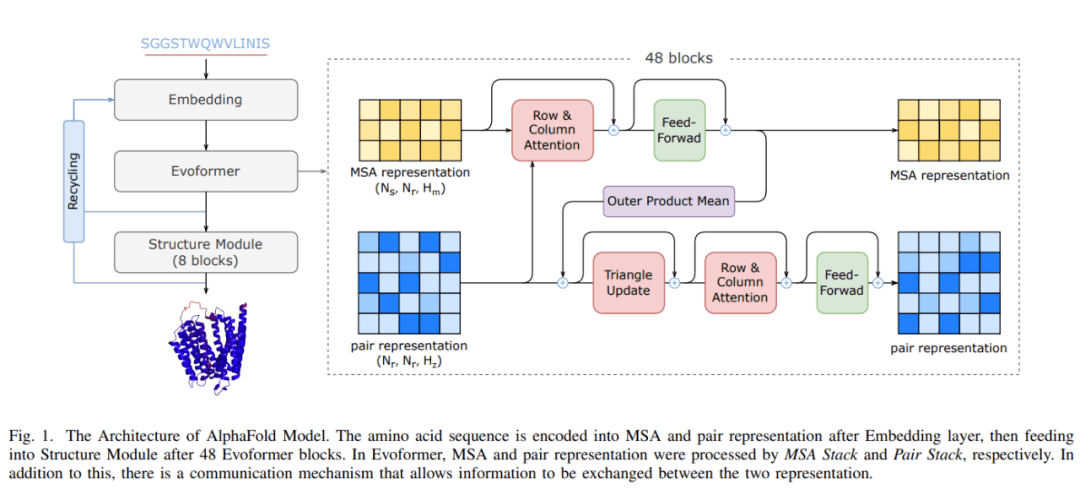 512块A100，AlphaFold训练时间压缩至67小时：尤洋团队FastFold上线