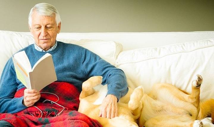 习惯|养狗之后的15个改变,可能你都没注意到,小编给你总结了一下