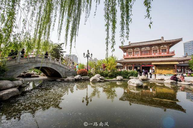长安城|西安青龙寺，中国十大赏樱胜地之一，春天梦幻唯美还免费开放