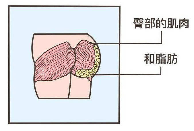 锻炼|最近有点火的小pp锻炼裤究竟是什么，作用怎么样？