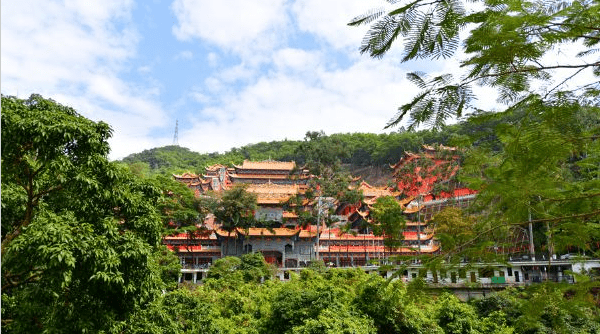 东莞红色教育—大岭山森林公园_动植物_景区_茶山
