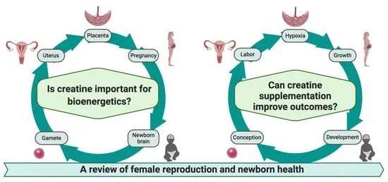 pregnancy and newborn health02妇科疾病与女性生殖系统相关