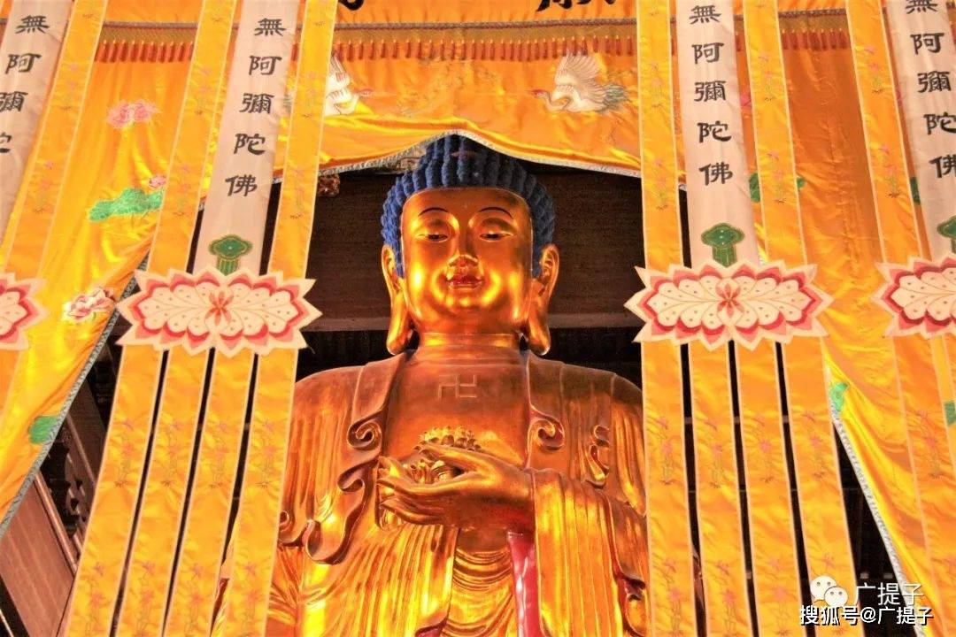 阿育王寺佛像图片