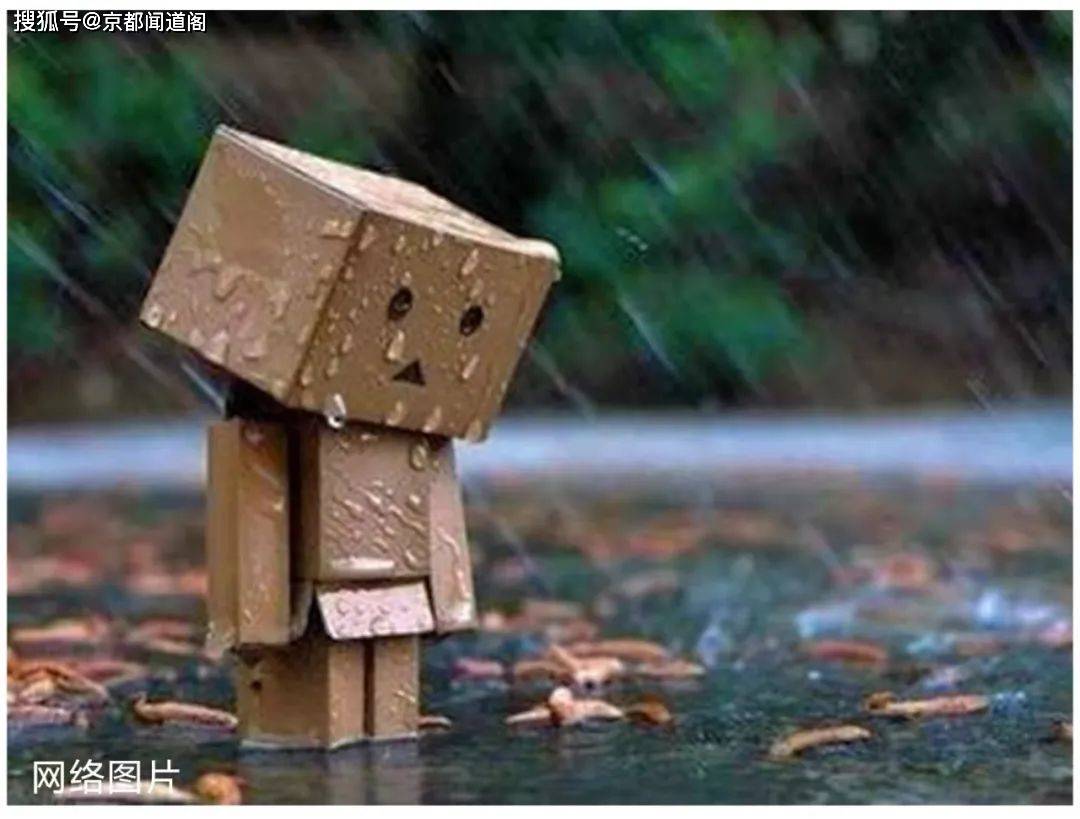 吕巍:我不甘心被现实吓得退缩_驻马店_浑身_河南