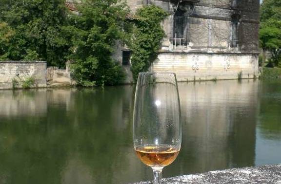 人体|你喜欢喝葡萄酒吗？你知道葡萄酒对人体有哪些益处吗？