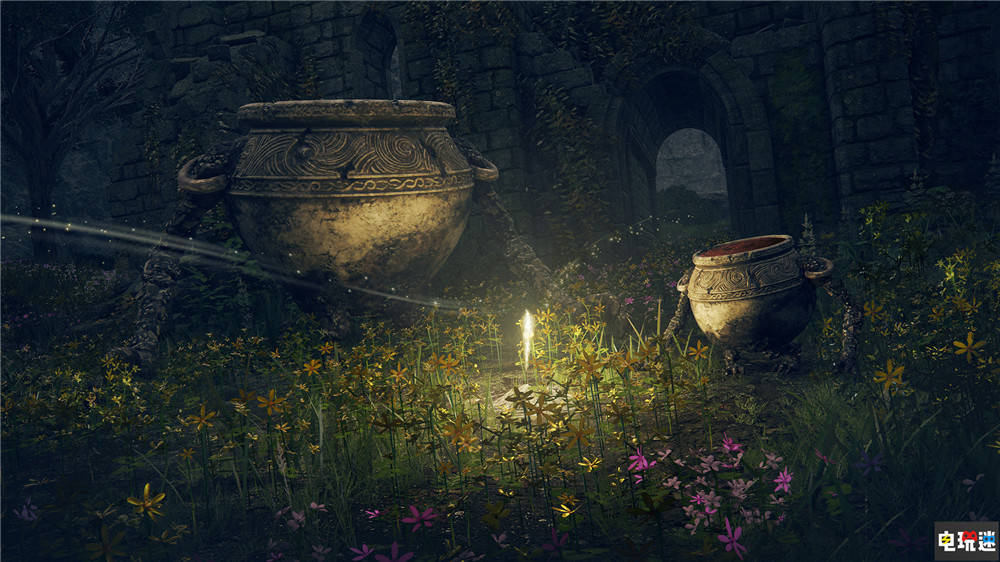 玩家发现《艾尔登法环》自身暂停方法无需mod PC与主机都能用