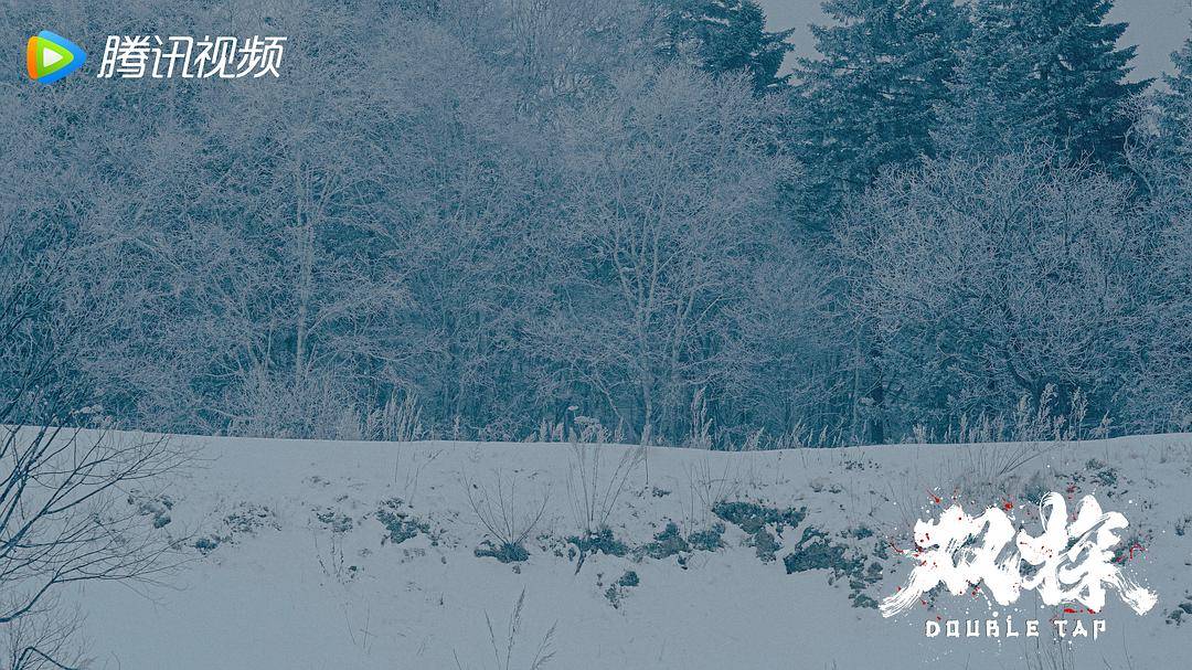 段奕宏|追完6集《双探》，我难掩激动，段奕宏果然拍出最炸的犯罪悬疑剧！