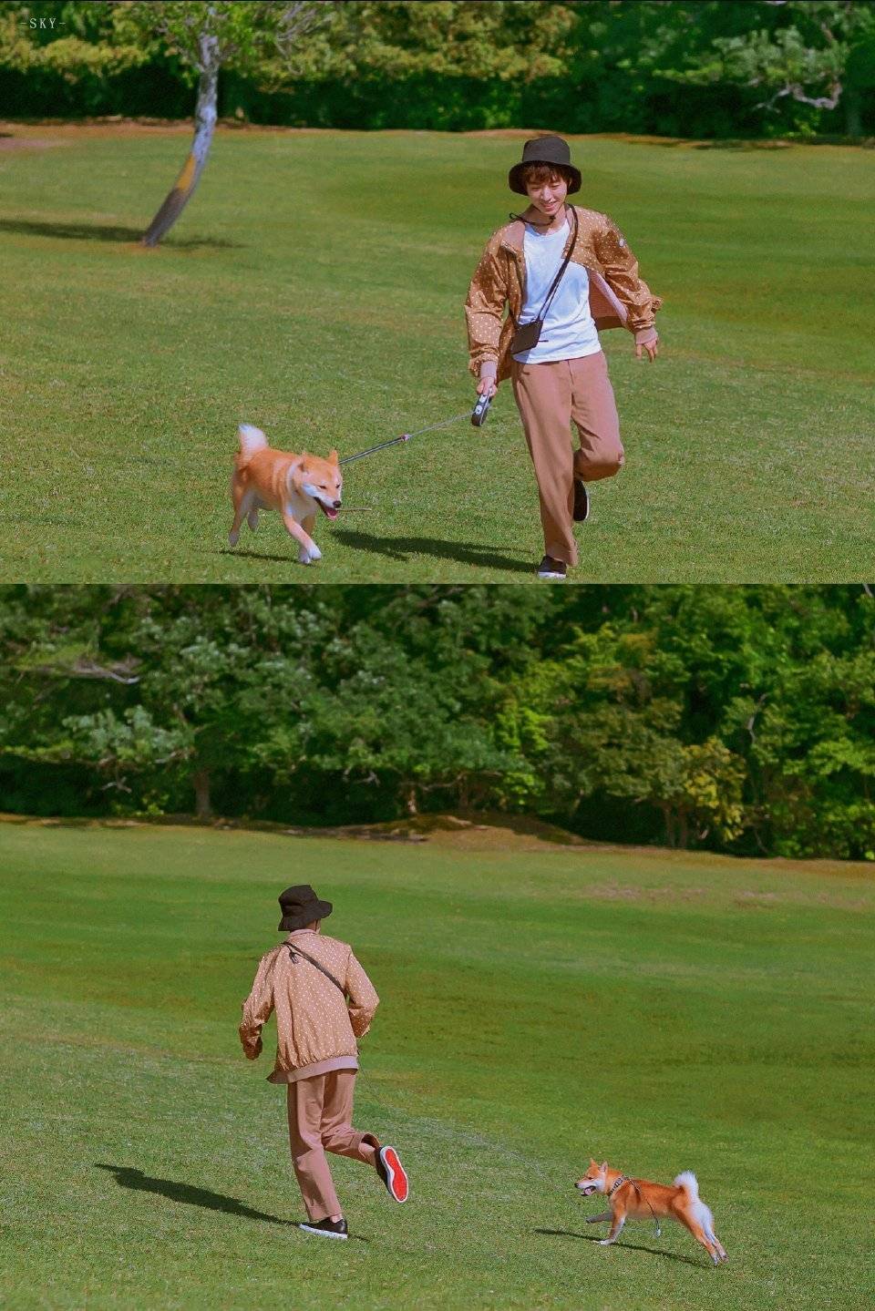 王俊凯——谢谢你,在抑郁,迷茫里的光与热