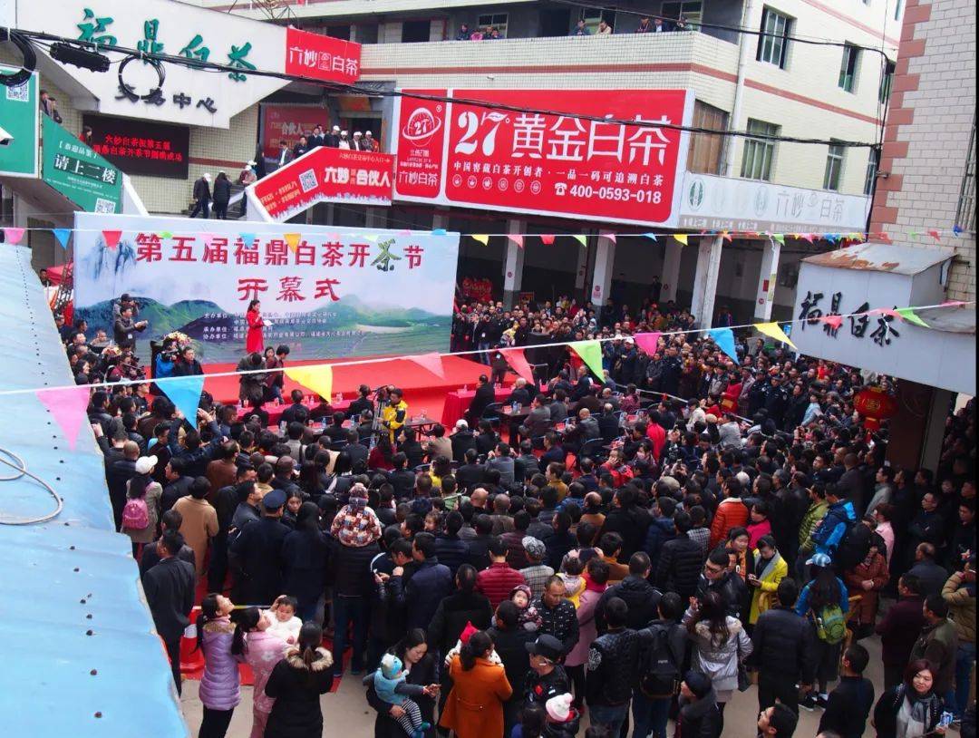 活动|定啦!定啦!定啦!3月28日-29日,第十一届福鼎白茶开茶节
