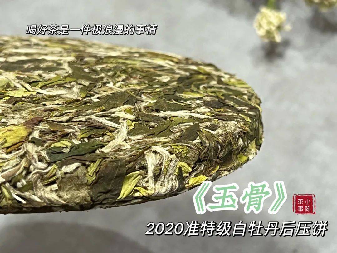 茶叶|润茶10秒,老白茶的醇厚感提升100%,网上教的泡茶教程,能信吗?