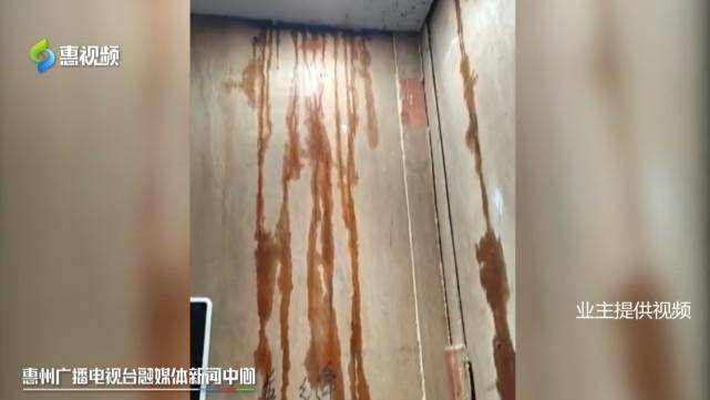 新房变成“水帘洞”？惠州富盈公馆三期多处漏水 业主称处置迟缓(图7)