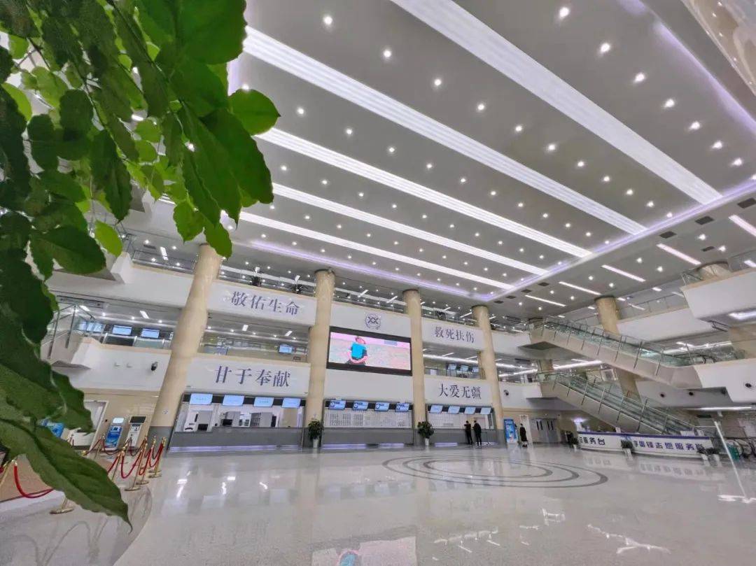 父亲|脑科团队勇闯“生命禁区” “拆除”脑干肿瘤