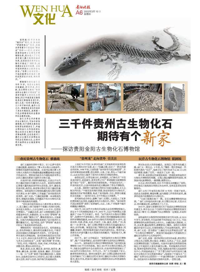 三千件贵州古生物化石期待有个新家 | 探访贵阳金阳古生物化石博物馆