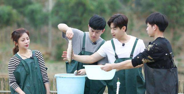 生活|即将迎来“向往的生活6”，张子枫再度出山，刘宪华始终是未知数