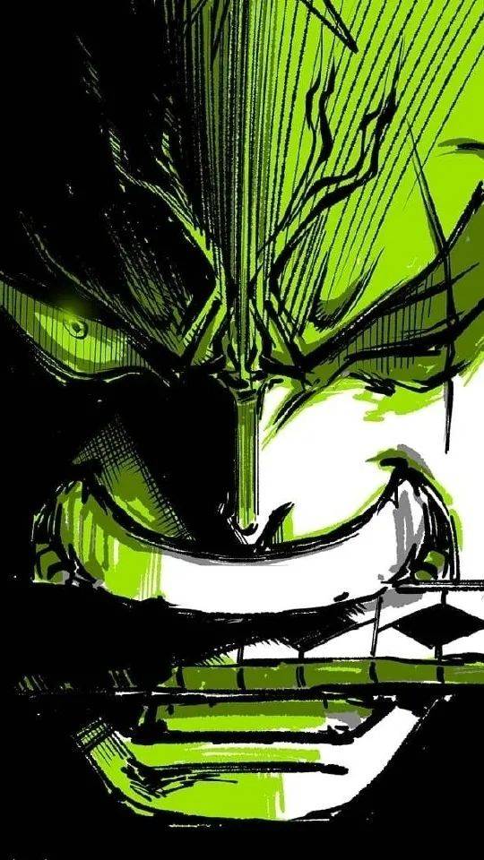 海贼王壁纸暗系风索隆又来了