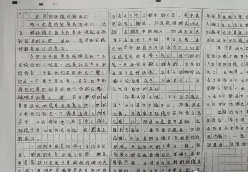 衡水市冀州中学规范书写优品展示:优美的中国字,整齐的卷面