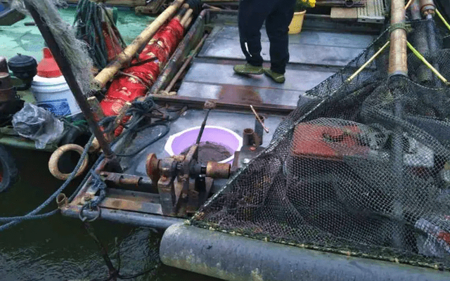 原创5人捕捞3500公斤螺蛳刑拘网友为什么不能捞