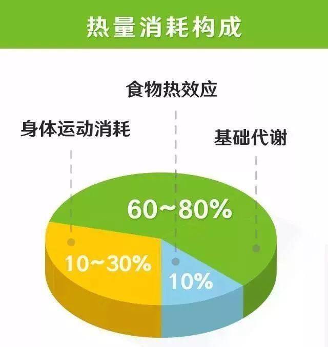 因为明星们追捧的“轻断食”，陈志朋靠它减掉10kg，终于不再油腻了